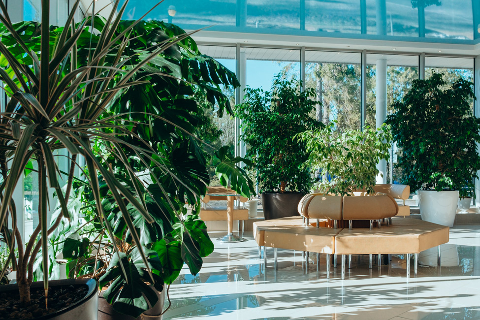 СПА-комплекс