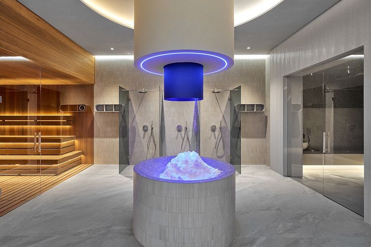 Снежная чаша