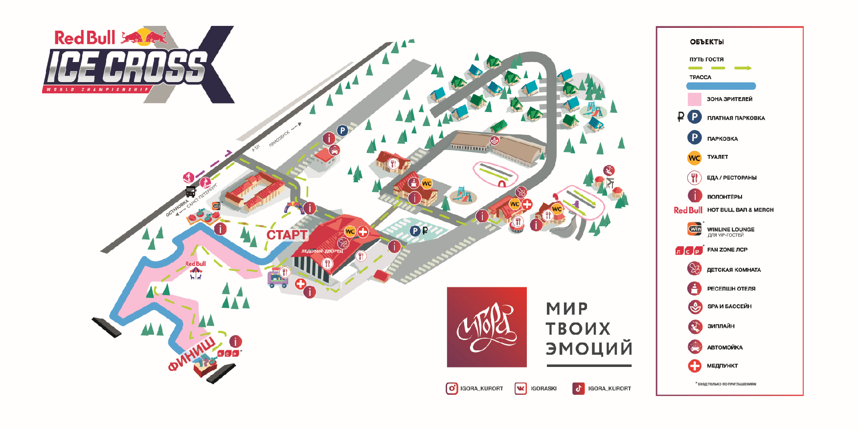 здоровый образ жизни